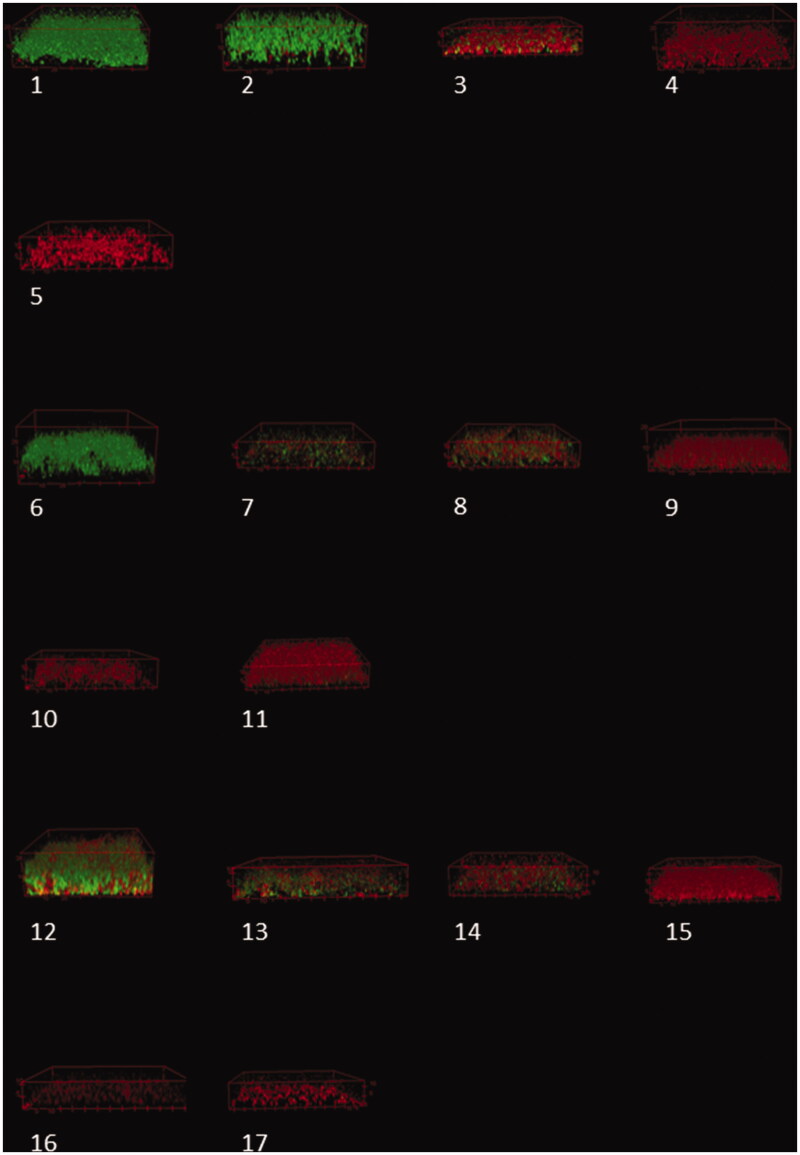 Bioactive glass S53P4 eradicates <i>Staphylococcus aureus</i> in biofilm/planktonic states <i>in vitro</i>.