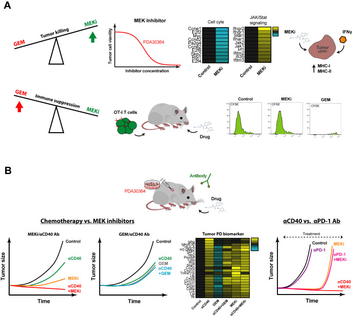 Targeting immune-checkpoint inhibitor resistance mechanisms by MEK inhibitor and agonist anti-CD40 antibody combination therapy.