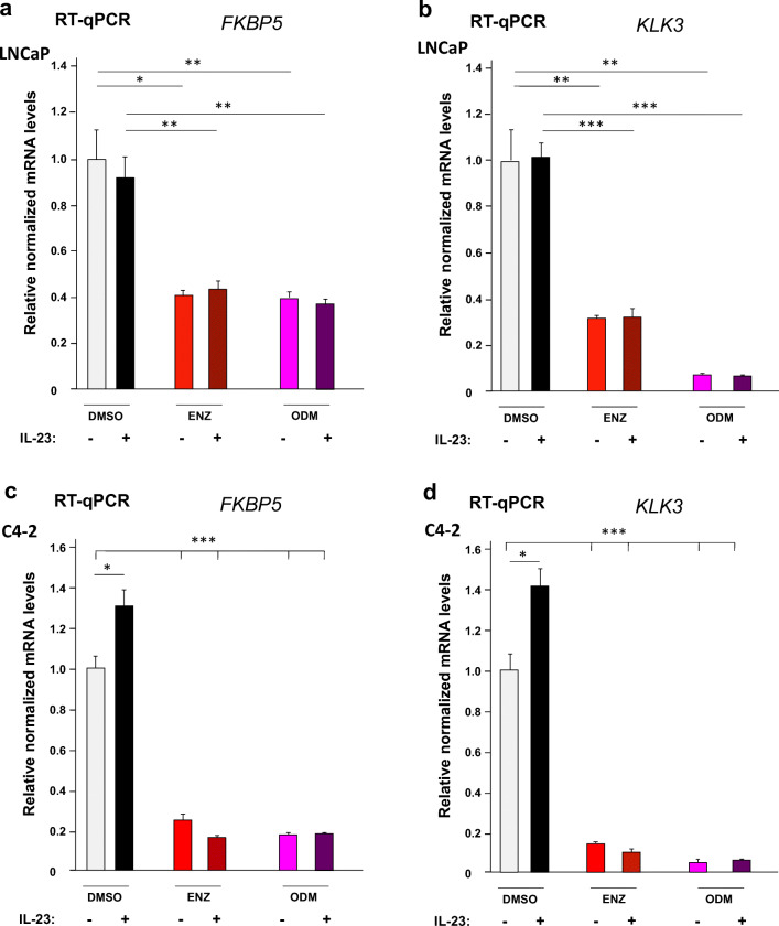 Interleukin-23 Represses the Level of Cell Senescence Induced by the Androgen Receptor Antagonists Enzalutamide and Darolutamide in Castration-Resistant Prostate Cancer Cells.