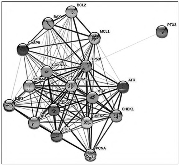 Relationship between Chromosomal Aberrations and Gene Expressions in the p53 Pathway in Chronic Lymphocytic Leukemia.