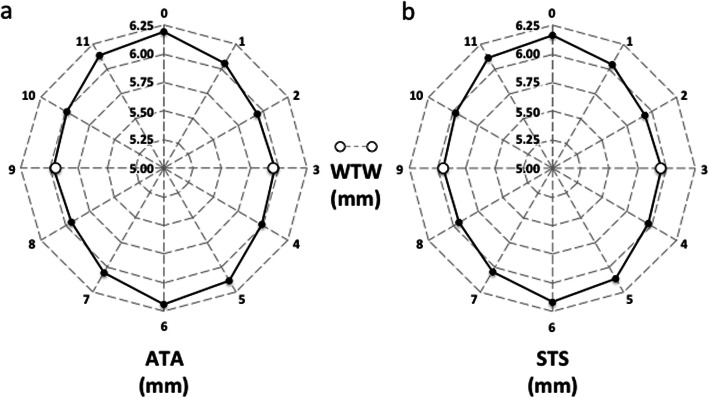 Angle-to-angle and spur-to-spur distance analysis with high-resolution optical coherence tomography.