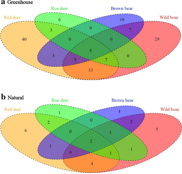 Endozoochorous dispersal by herbivores and omnivores is mediated by germination conditions.