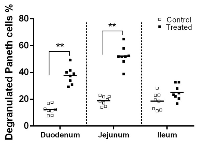 Orally administered Lactobacillus casei exhibited several probiotic properties in artificially suckling rabbits.