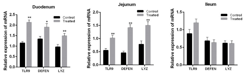 Orally administered Lactobacillus casei exhibited several probiotic properties in artificially suckling rabbits.