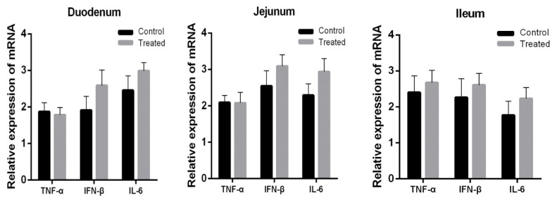 Orally administered Lactobacillus casei exhibited several probiotic properties in artificially suckling rabbits.