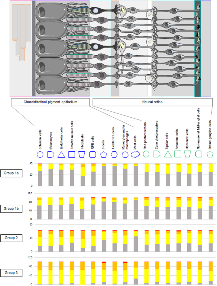 Combining Gene-Disease Associations with Single-Cell Gene Expression Data Provides Anatomy-Specific Subnetworks in Age-Related Macular Degeneration.