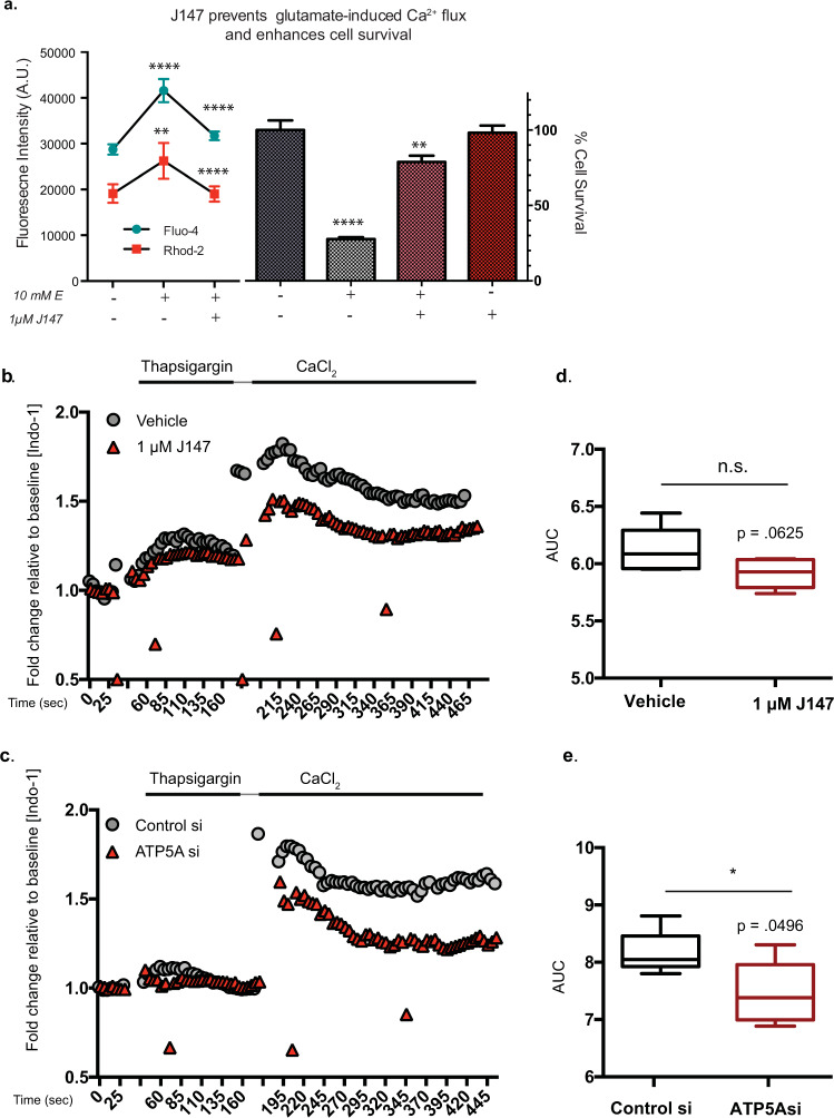 Targeting of intracellular Ca<sup>2+</sup> stores as a therapeutic strategy against age-related neurotoxicities.