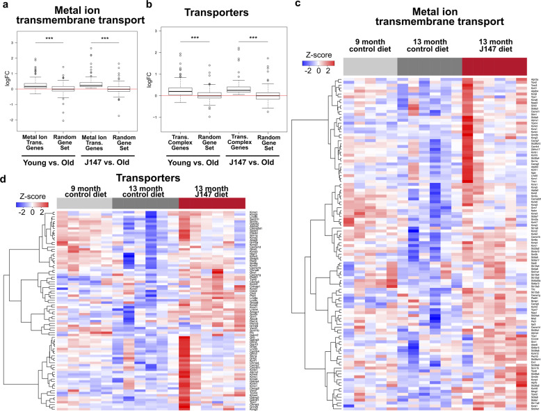 Targeting of intracellular Ca<sup>2+</sup> stores as a therapeutic strategy against age-related neurotoxicities.