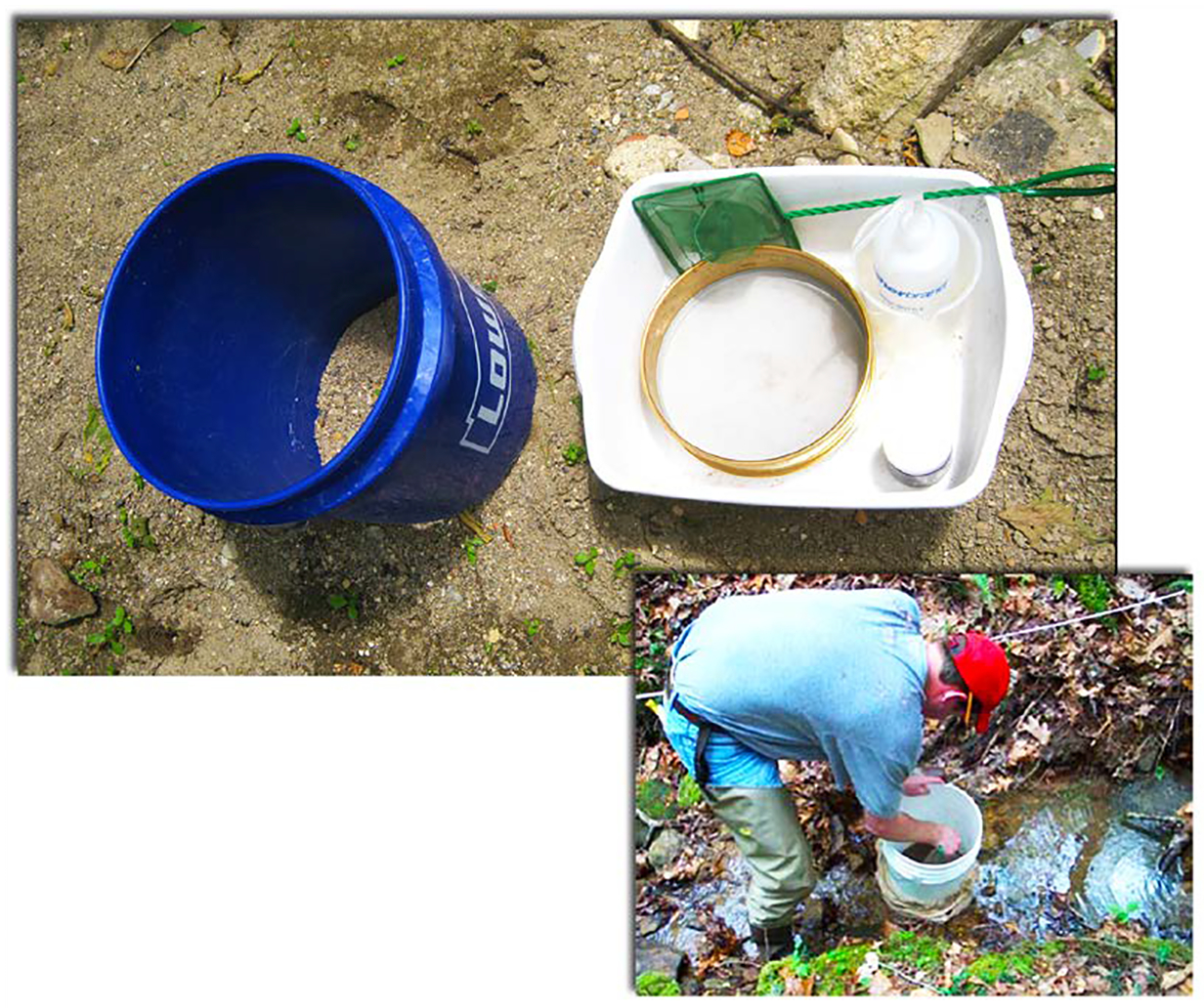 Comparison of Three Macroinvertebrate Sampling Methods for Use in Assessment of Water Quality Changes in Flashy Urban Streams.