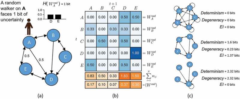 Emergence of informative higher scales in biological systems: a computational toolkit for optimal prediction and control.