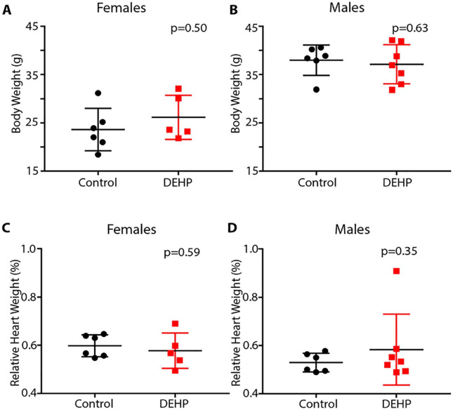 Sex-Specific Programming of Cardiac DNA Methylation by Developmental Phthalate Exposure.