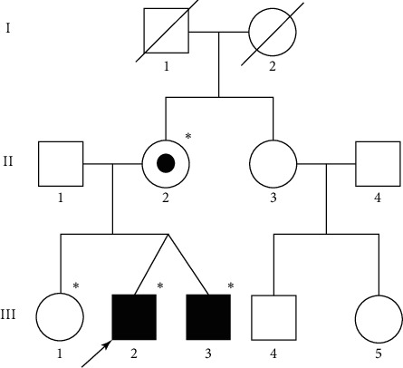 A Novel <i>EMD</i> Mutation Identified by Whole-Exome Sequencing in Twins with Emery-Dreifuss Muscular Dystrophy.