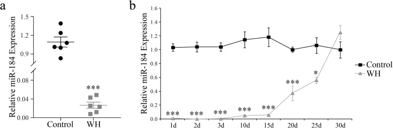 MicroRNA-184 negatively regulates corneal epithelial wound healing via targeting <i>CDC25A</i>, <i>CARM1</i>, and <i>LASP1</i>.