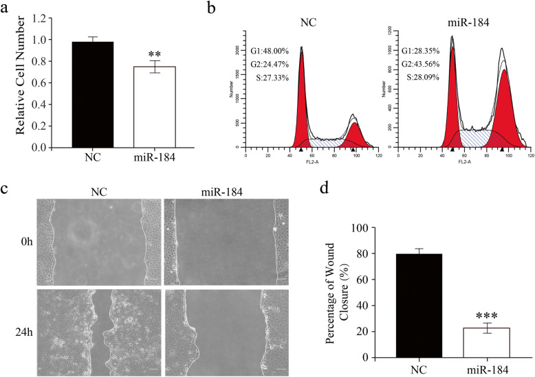 MicroRNA-184 negatively regulates corneal epithelial wound healing via targeting <i>CDC25A</i>, <i>CARM1</i>, and <i>LASP1</i>.