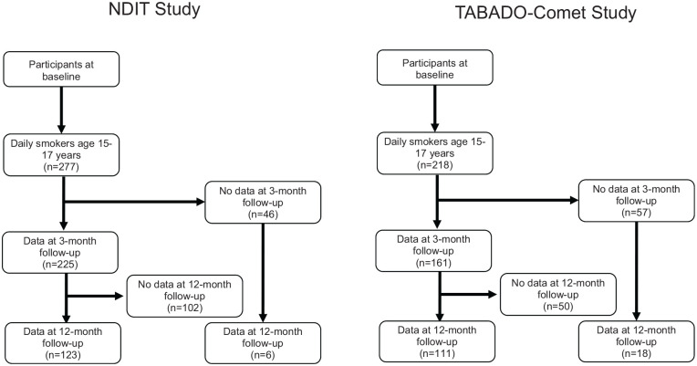 The Natural Course of Cigarette Smoking among Adolescent Daily Smokers in France and Quebec.