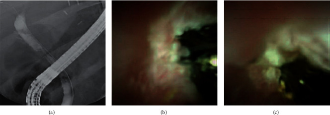 Abstract Image