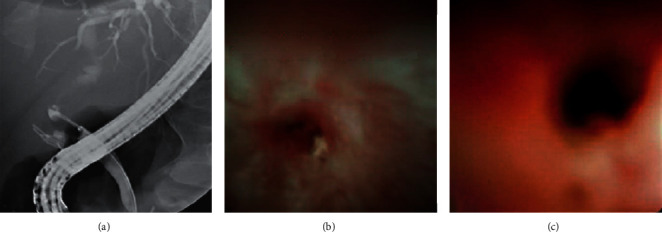 Abstract Image