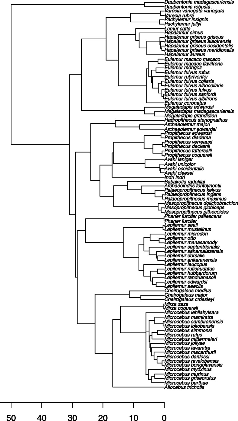 Mid-Cenozoic climate change, extinction, and faunal turnover in Madagascar, and their bearing on the evolution of lemurs.