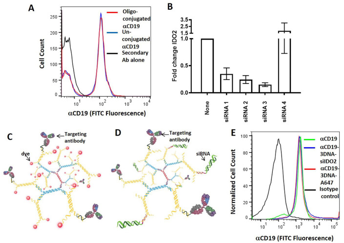 B-Cell-Targeted 3DNA Nanotherapy Against Indoleamine 2,3-Dioxygenase 2 (IDO2) Ameliorates Autoimmune Arthritis in a Preclinical Model.