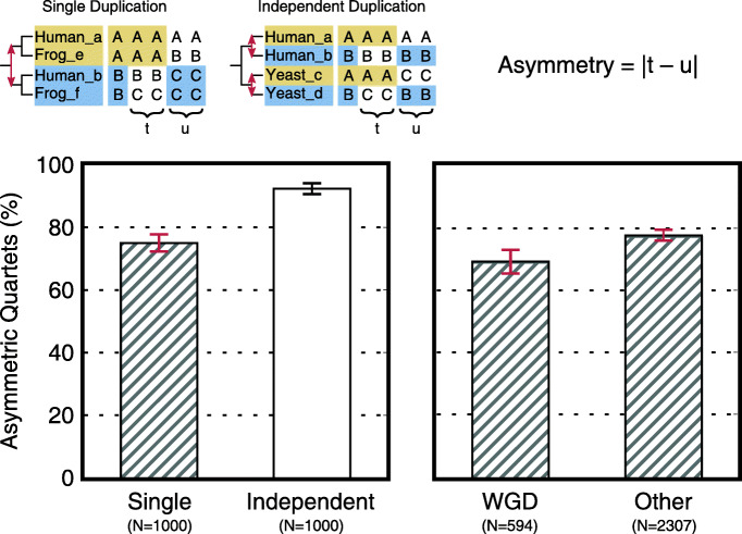 Recurrent sequence evolution after independent gene duplication.