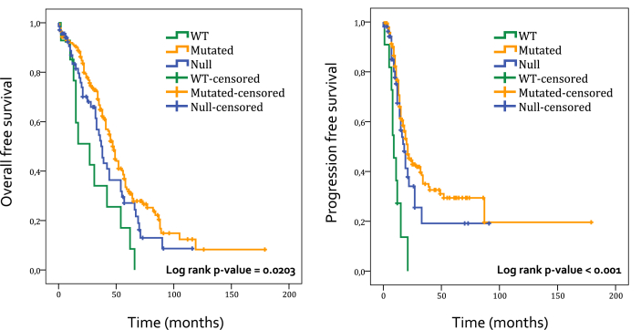 Insight updating of the molecular hallmarks in ovarian carcinoma