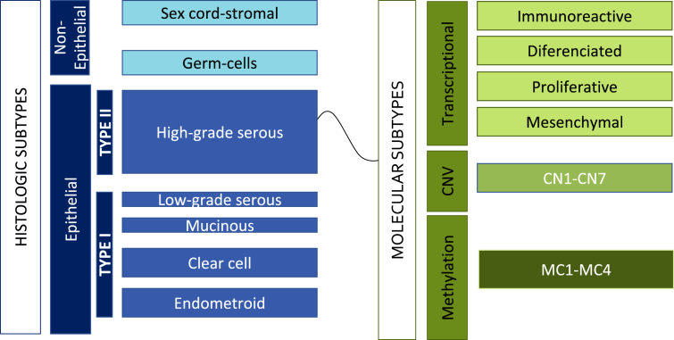 Insight updating of the molecular hallmarks in ovarian carcinoma