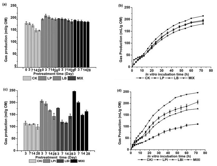 A lower cost method of preparing corn stover for Irpex lacteus treatment by ensiling with lactic acid bacteria.