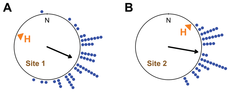Orientation and navigation in <i>Bufo bufo</i>: a quest for repeatability of arena experiments.