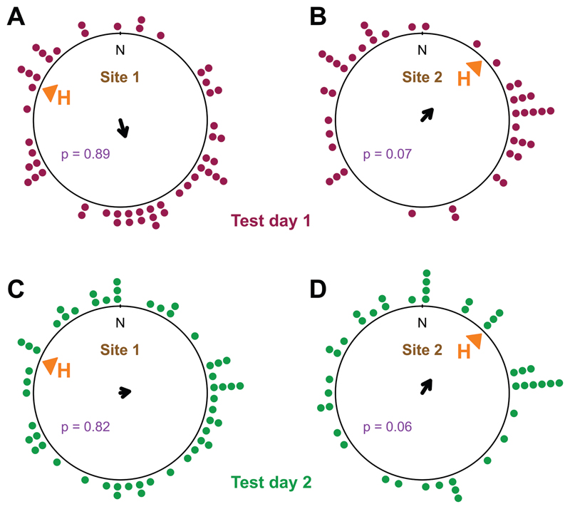 Orientation and navigation in <i>Bufo bufo</i>: a quest for repeatability of arena experiments.