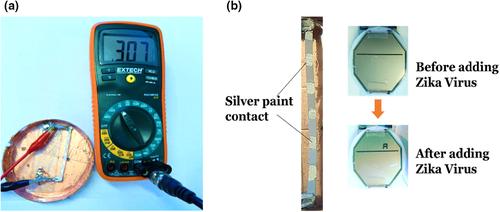 Whole virus detection using aptamers and paper-based sensor potentiometry