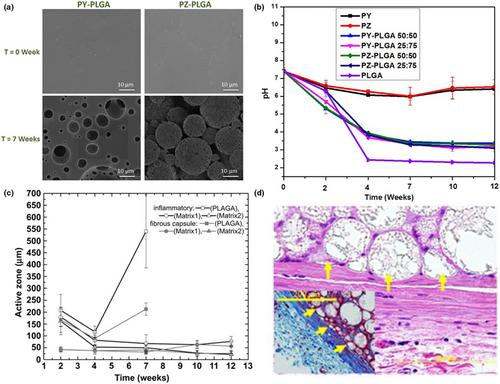 Biomedical applications of polyphosphazenes