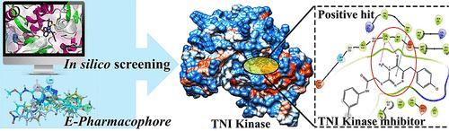 TRAF2 and NCK-Interacting Kinase Inhibitors for Colorectal Cancer: In Vitro and Theoretical Validations