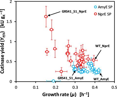 Screening of a genome-reduced Corynebacterium glutamicum strain library for improved heterologous cutinase secretion