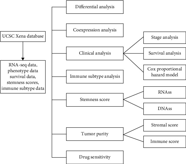 The Role of Peroxisome Proliferator-Activated Receptors (PPARs) in Pan-Cancer.