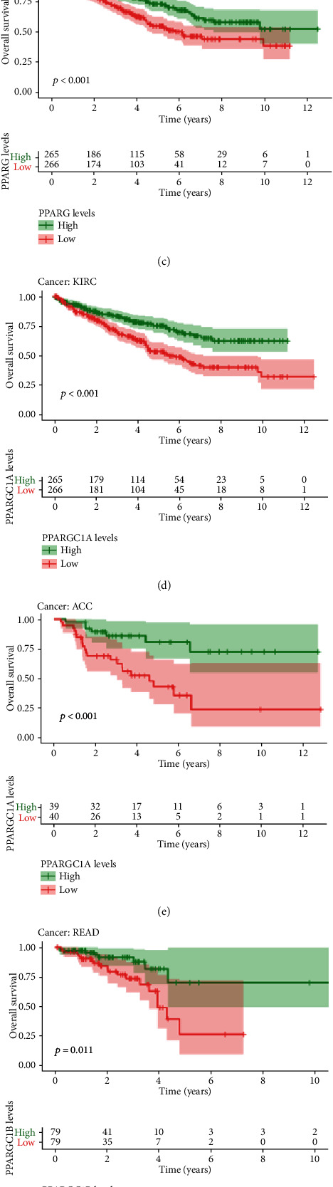 The Role of Peroxisome Proliferator-Activated Receptors (PPARs) in Pan-Cancer.