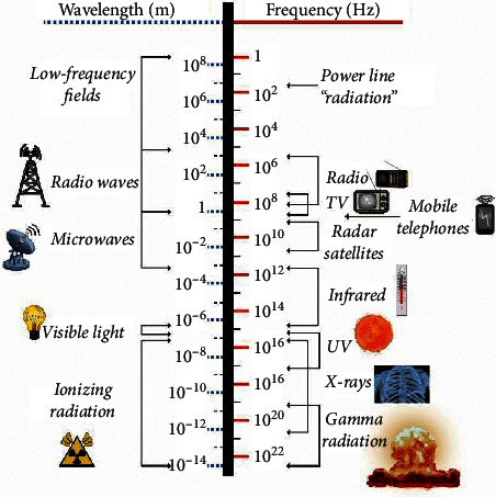 Response to: Comment on "The Use of Pulsed Electromagnetic Fields to Promote Bone Responses to Biomaterials In Vitro and In Vivo".