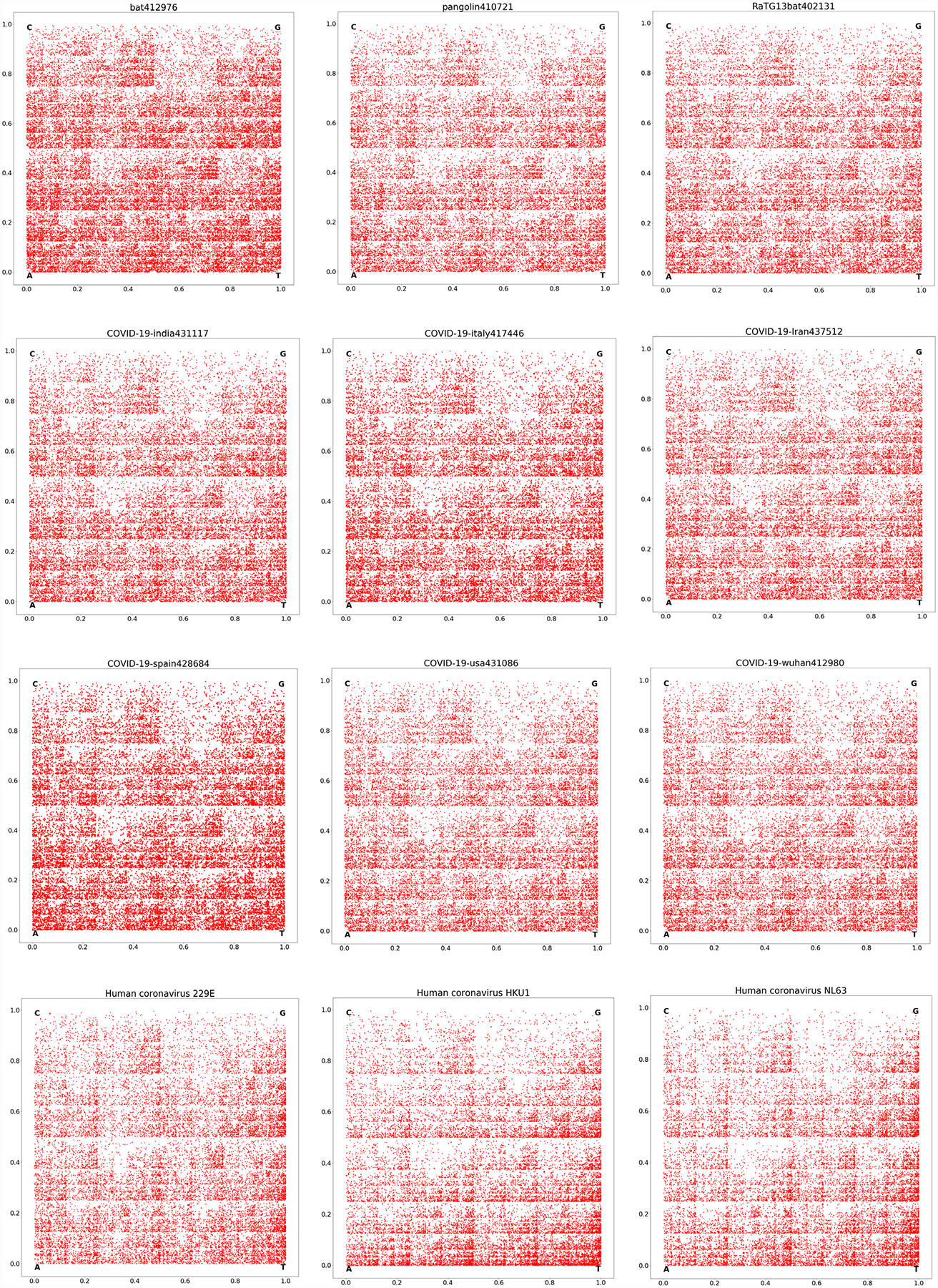 Similarity Studies of Corona Viruses through Chaos Game Representation.