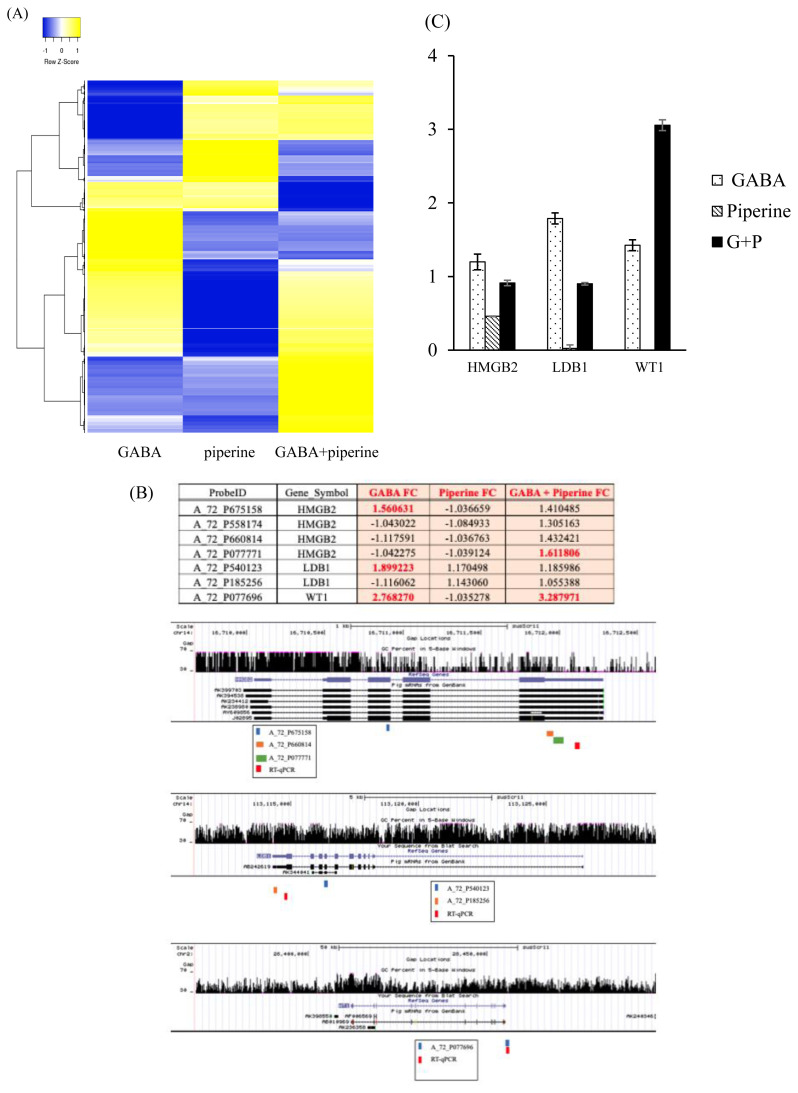 Effects of gamma-aminobutyric acid and piperine on gene regulation in pig kidney epithelial cell lines.