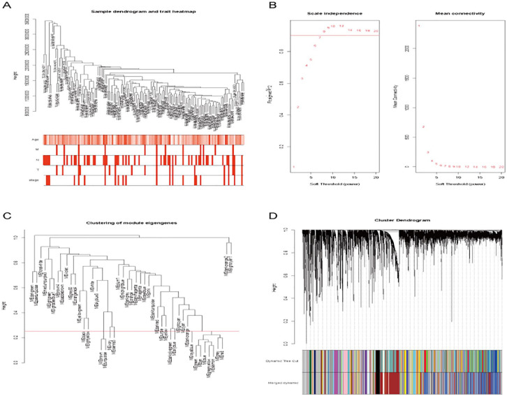 Identification of Metastasis-Associated Genes in Triple-Negative Breast Cancer Using Weighted Gene Co-expression Network Analysis.