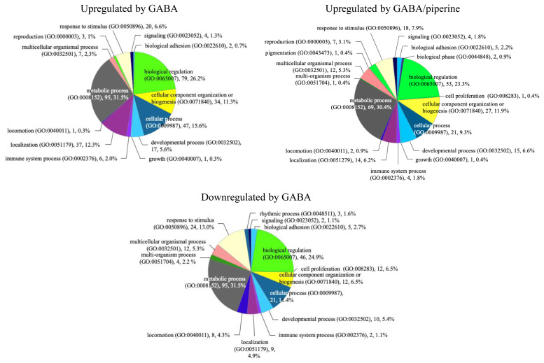 Effects of gamma-aminobutyric acid and piperine on gene regulation in pig kidney epithelial cell lines.