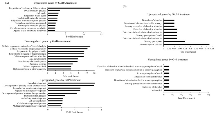 Effects of gamma-aminobutyric acid and piperine on gene regulation in pig kidney epithelial cell lines.