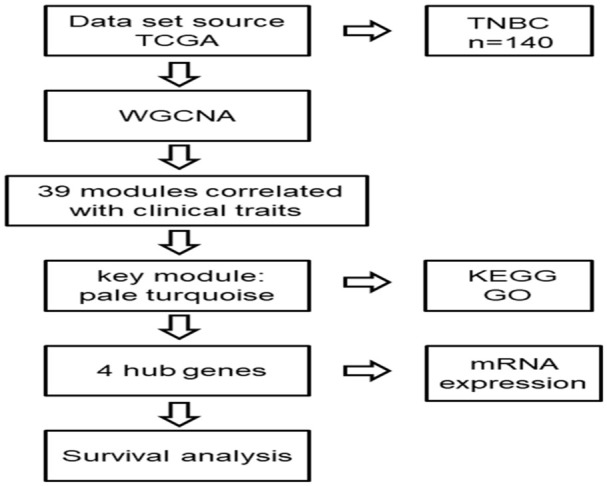 Identification of Metastasis-Associated Genes in Triple-Negative Breast Cancer Using Weighted Gene Co-expression Network Analysis.