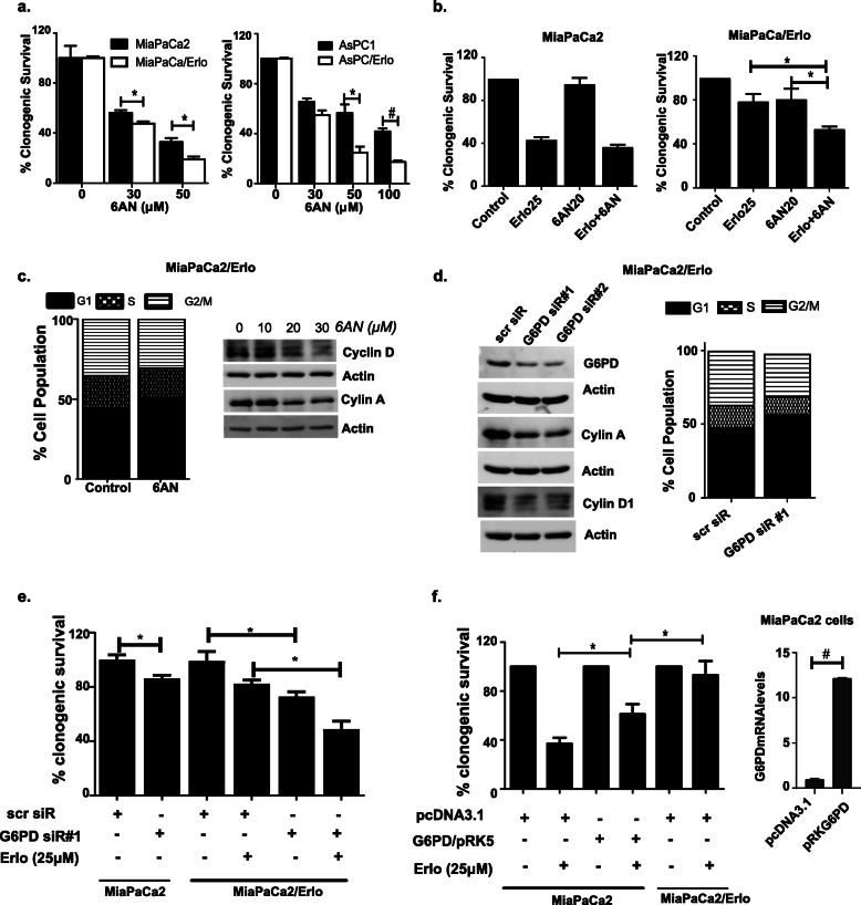 Metabolic plasticity imparts erlotinib-resistance in pancreatic cancer by upregulating glucose-6-phosphate dehydrogenase.