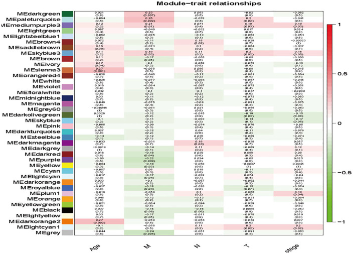 Identification of Metastasis-Associated Genes in Triple-Negative Breast Cancer Using Weighted Gene Co-expression Network Analysis.