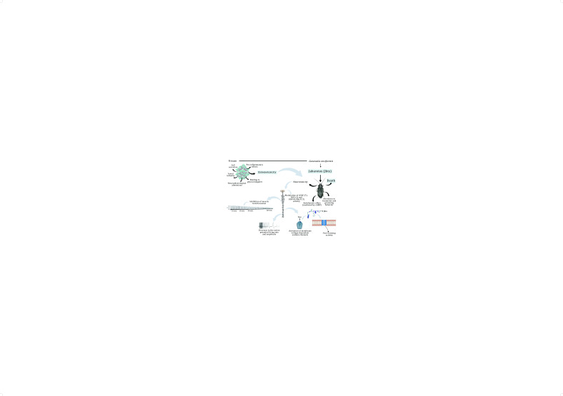 Entomotoxicity of jaburetox: revisiting the neurotoxic mechanisms in insects.