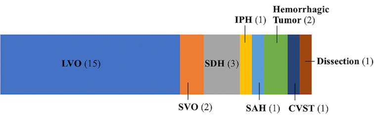 Outcomes and Spectrum of Major Neurovascular Events Among COVID-19 Patients: A 3-Center Experience.