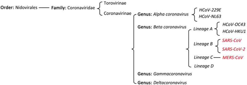 Human Coronavirus Infections and Pregnancy.