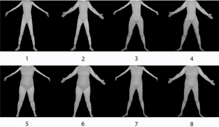 Rank-Order of Body Shapes Reveals Internal Hierarchy of Body Image.