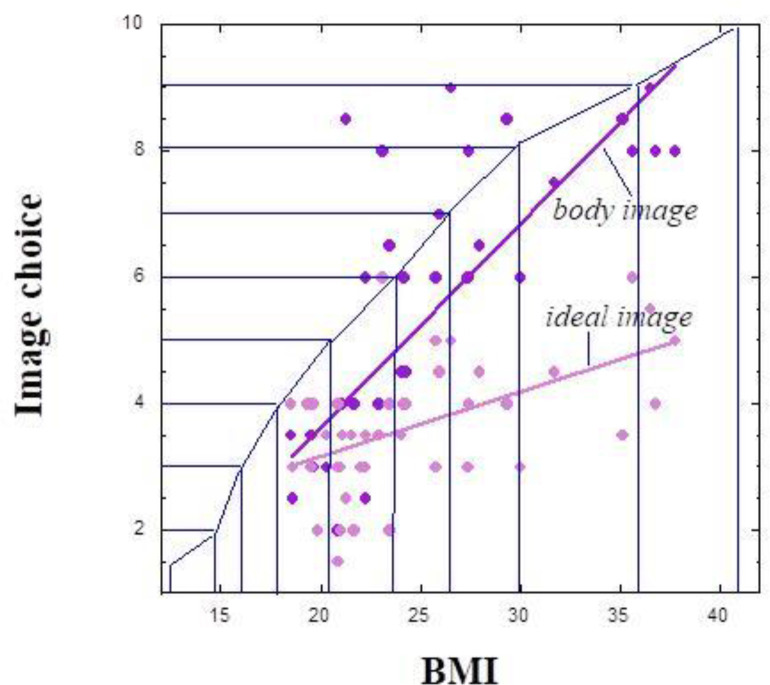 Rank-Order of Body Shapes Reveals Internal Hierarchy of Body Image.