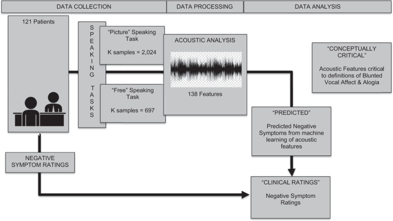 Using machine learning of computerized vocal expression to measure blunted vocal affect and alogia.